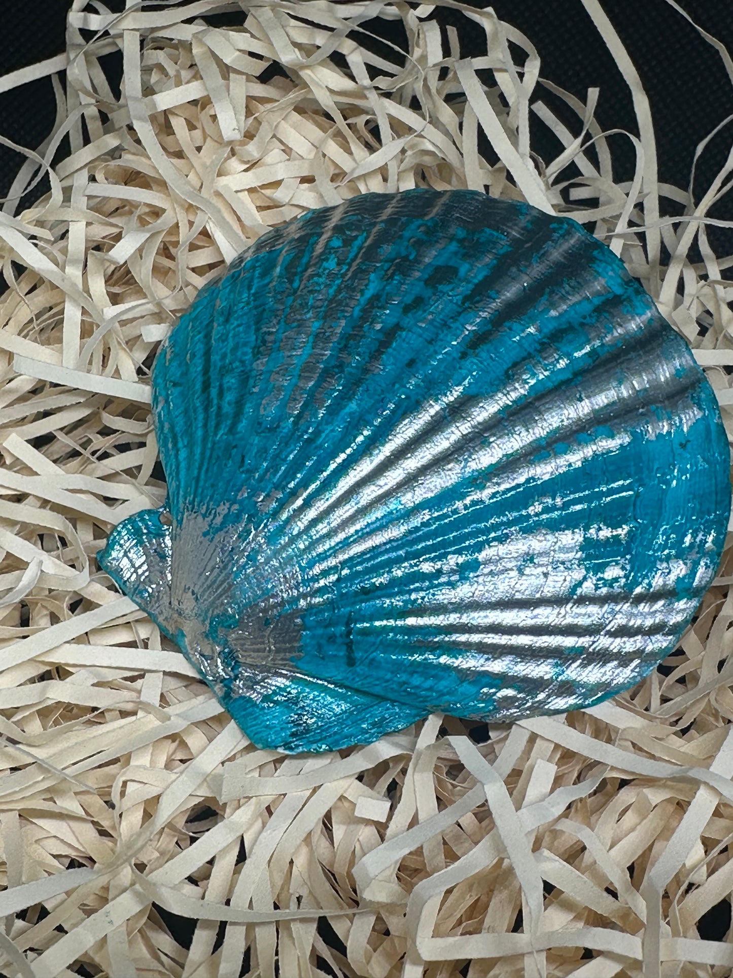 Scallop shell trinket tray 18