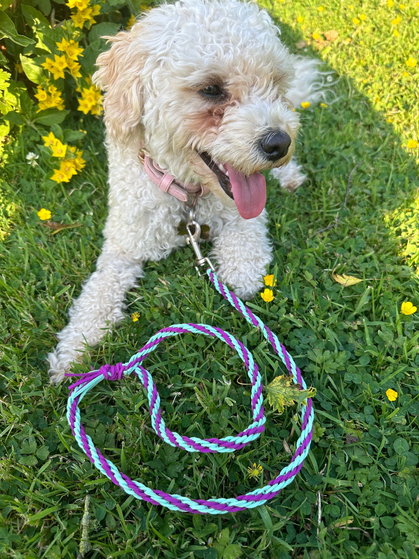 Leather Dog Lead